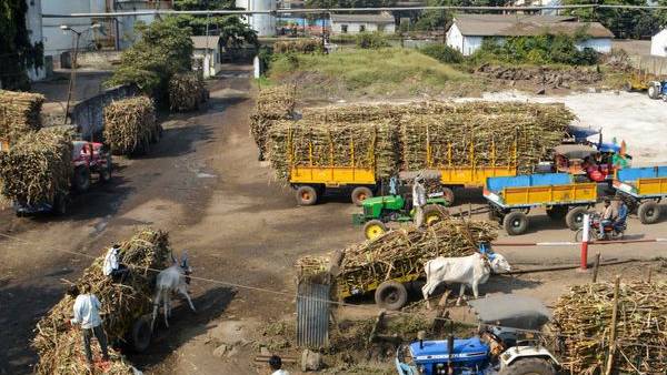 ಹೆಚ್ಚುವರಿ ಸಕ್ಕರೆ ನಿರ್ವಹಣೆಗೆ ಸರ್ಕಾರದ ಕ್ರಮ 