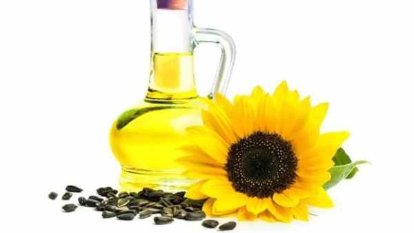 ಸೂರ್ಯಕಾಂತಿ ಬೆಳೆಯುವಂತೆ ಉತ್ತೇಜನ