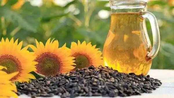 ರಾಜ್ಯ ಸರ್ಕಾರದ ಪ್ರೋತ್ಸಾಹ