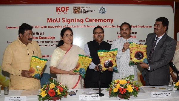 Sunflower seed production: NDDB & KOF inks MoU with University of Agricultural Sciences, Bangalore 