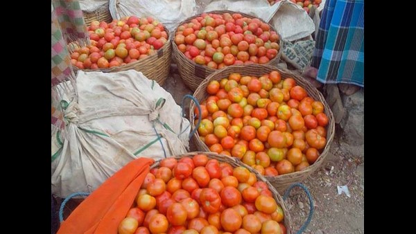 Rising Tomato Prices Shock Common People 