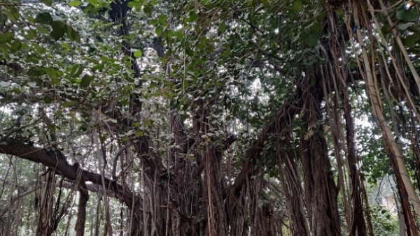 ಆಶ್ಚರ್ಯಗೊಂಡ ಜನ 