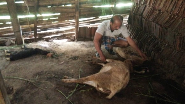 Dalits of this Village in Kunigal Taluk Have No Place for Burial