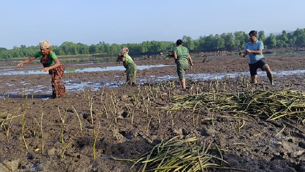 ಪರಿಸರ ಸಮತೋಲನಕ್ಕೆ ತನ್ನ ವಿಶಿಷ್ಟ ಕೊಡುಗೆ 