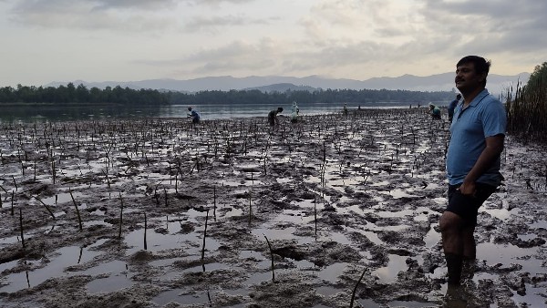 ವನ್ಯ ಸಂಪತ್ತಿನ ವಿಸ್ತರಣೆಗೆ ತಕ್ಕಮಟ್ಟಿಗೆ ಸಹಕಾರಿ 