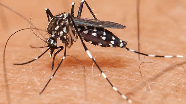  4- 5 ಕಾಲರಾ ಸೋಂಕುಗಳು ವರದಿ