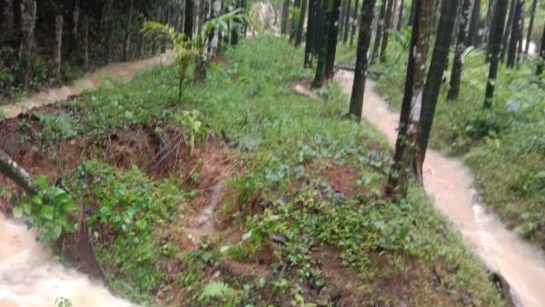 ಬಸಿಗಾಲುವೆಗಳನ್ನು ನಿರ್ಮಾಣ ಮಾಡಿ