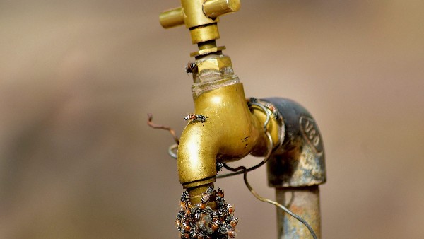 17.29ಲಕ್ಷ ಲೀ. ಬದಲಾಗಿ 13.86ಲಕ್ಷ ಲೀ.ನೀರು ಬಳಕೆ 