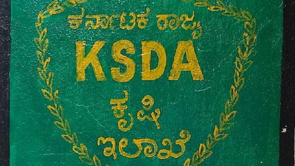  ಹಳದಿ ರೋಗ ತಿಳಿಯುವುದೇಗೆ? 