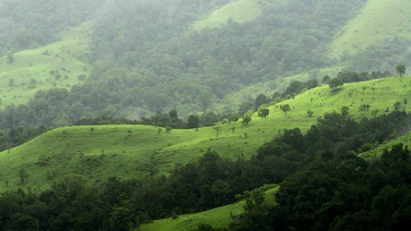  ಶಾಸಕರಿಂದಲೂ ವಿರೋದ ವ್ಯಕ್ತವಾಗಿತ್ತು 