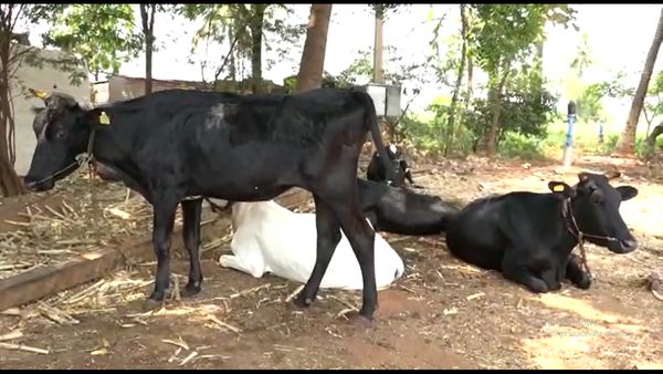  ಕುಬೇರನಾದ ರೈತ ಮಲ್ಲಪ್ಪನ ಇತಿಹಾಸ