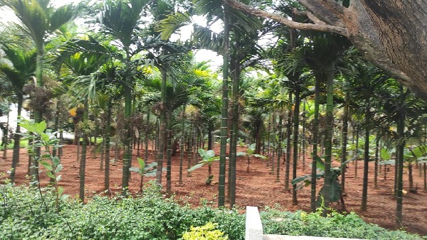 ಸರಣಿ ಸಾವಿನ ಮನೆ ಈಗ ಸುಂದರ ಅರಮನೆ 