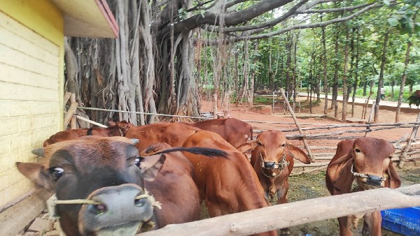 ಟೈಲರಿಂಗ್, ಕಡತ ತಯಾರಿ