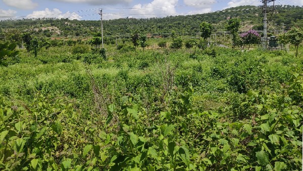ಸ್ವಚ್ಛತೆ, ವಿದ್ಯುತ್, ನೀರಿನ ಸೌಲಭ್ಯವಿಲ್ಲ 