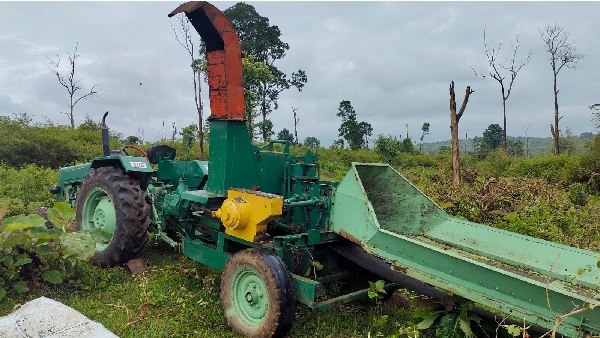 Forest Department Officials Using Machine To Control Lantana Bushes