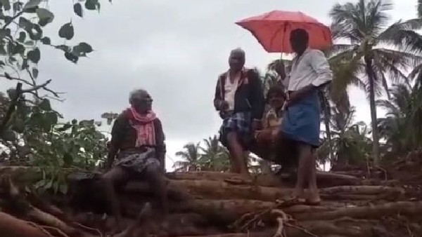 Big Banyan Tree Fells down in Udde Borana Halli due to Heavy Rain 