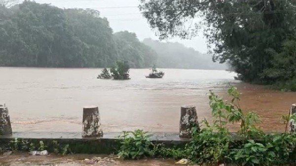 ಧರೆಗುರುಳಿದ ಮರ, ವಿದ್ಯುತ್ ಕಂಬ, ಜನಜೀವನ ಅಸ್ತವ್ಯಸ್ತ 