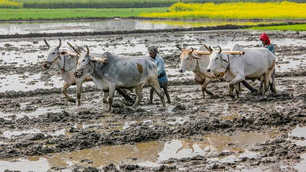 ಸರ್ಕಾರದ ಯೋಜನೆಗಳಿಗೆ ಬಳಕೆ