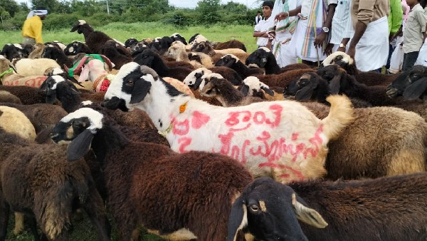  ಅನ್ನ ಸಂತರ್ಪಣೆ 