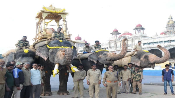 2 ತಿಂಗಳು ಮುಂಚೆಯೇ ಶಿಬಿರಕ್ಕೆ ಆನೆಗಳು 