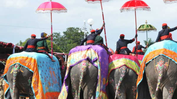 115 ಆನೆಗಳಲ್ಲಿ 20 ಆನೆಗಳ ಪಟ್ಟಿ ಸಿದ್ಧ 