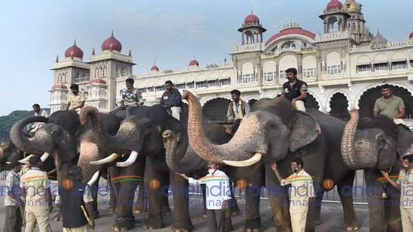  ಎರಡು ತಿಂಗಳ ಮೊದಲ ಆನೆಗಳ ಆಗಮನ 