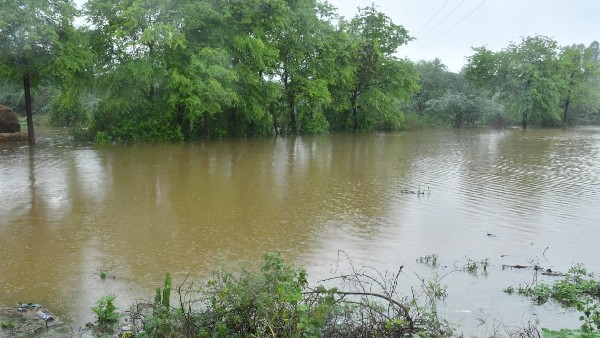  ಜಿಲ್ಲೆಯ ಮಳೆಯ ವಿವರ 