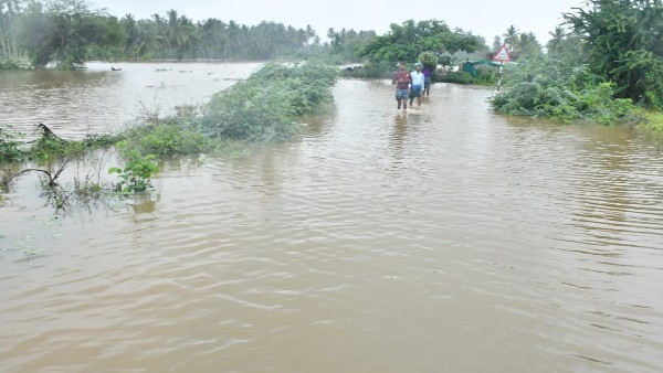 ಉತ್ತಮ ಮಳೆ, ಬಿತ್ತನೆ ಚುರುಕು