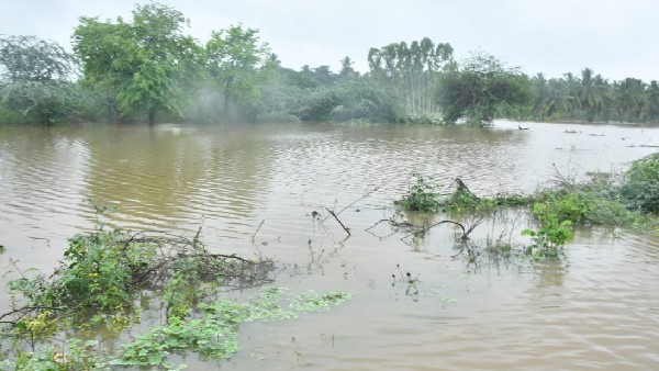 ಜಿಲ್ಲೆಯಲ್ಲಿ 8.65 ಲಕ್ಷ ರೂ ಅಂದಾಜು ನಷ್ಟ 