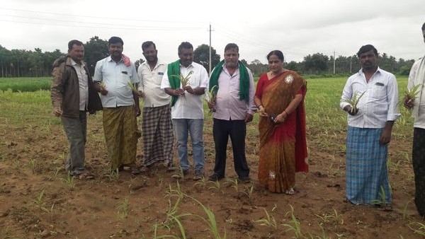 ಸಮೀಕ್ಷೆ ಮಾಡಲು ಒತ್ತಾಯ 