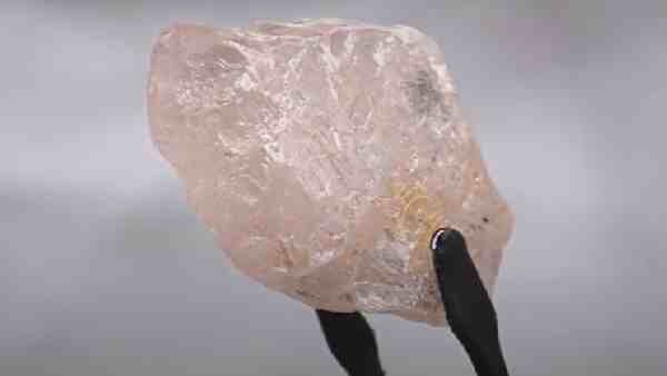 ಹಲವು ವರ್ಷಗಳ ನಂತರ ಪತ್ತೆಯಾದ ಪಿಂಕ್ ಡೈಮಂಡ್ 