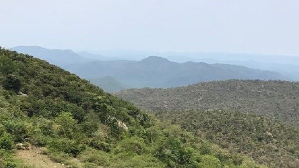 ಕಾಡು ಮೃಗಗಳ ಭಯದಲ್ಲೇ ಪಯಣ