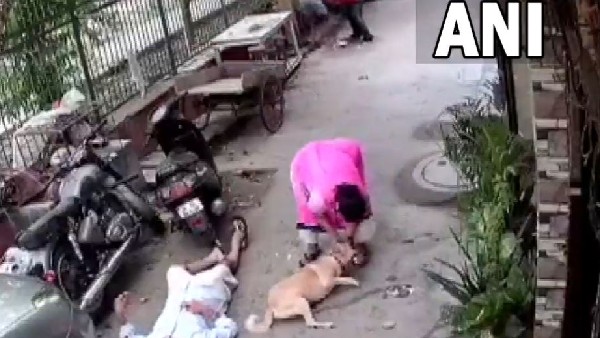 ಶ್ವಾನ ಕಚ್ಚಿಸಿಕೊಂಡು ಚಿಕಿತ್ಸೆ ಪಡೆಯುತ್ತಿರುವ ದಹಿಯಾ 