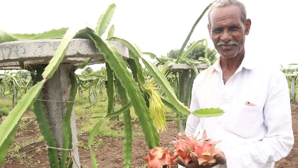  ಯೂಟ್ಯೂಬ್ ಚಾನೆಲ್‌ ನೋಡಿ ಕೃಷಿ