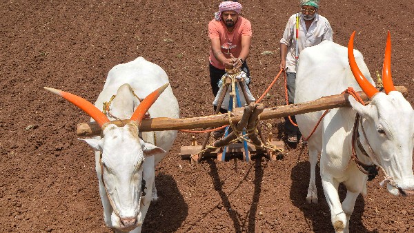  ಅನ್ನದ ಜೊತೆ ಇಂಧನ ನೀಡಿ 