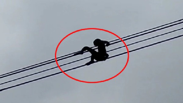 A farmer sitting on a high tension wire after seeing the electricity bill of more than 80 thousand A farmer sitting on a high tension wire after seeing the electricity bill of more than 80 thousand