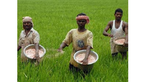 ರೈತರಲ್ಲಿ ಆತಂಕ ಬೇಡ ರೈತರಲ್ಲಿ ಆತಂಕ ಬೇಡ