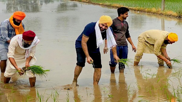ಪಟ್ಟಣ, ಗ್ರಾಮೀಣ ಭಾಗದ ಜನರು 