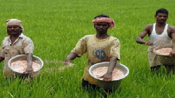 ಬಳ್ಳಾರಿ ಜಿಲ್ಲೆಯ ಹಗರಿಯಲ್ಲಿ ಕೃಪಿ ಮಹಾವಿದ್ಯಾಲ 