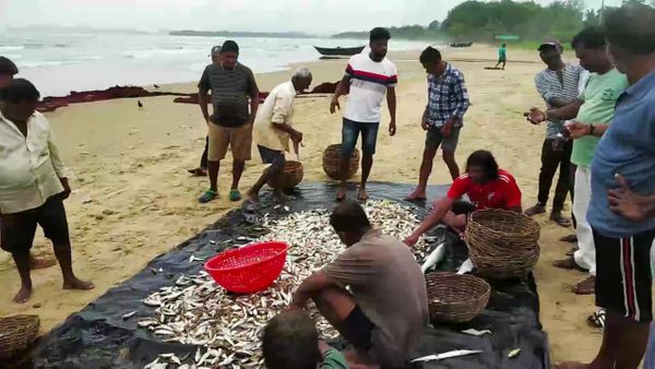 ಏಂಡಿ ಬಲೆ ಮೀನುಗಾರಿಕೆಗೆ 40ಕ್ಕಿಂತ ಹೆಚ್ಚು ಮಂದಿ ಅವಶ್ಯಕ 