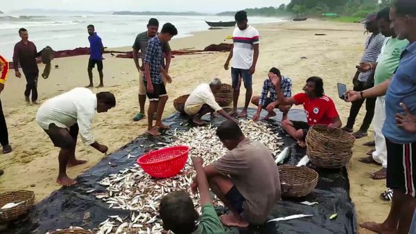 ಏಂಡಿ ಮೀನುಗಾರಿಕೆಯಲ್ಲಿ ಲಾಭವಿಲ್ಲ 