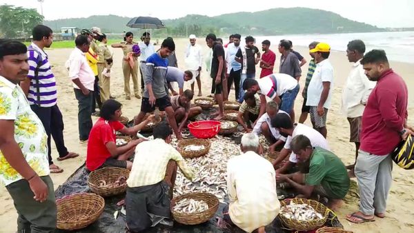 ಕಡಲತೀರಗಳಿಗೆ ಬಂದು ಮೀನು ಕೊಳ್ಳುತ್ತಿರುವ ಜನರು 