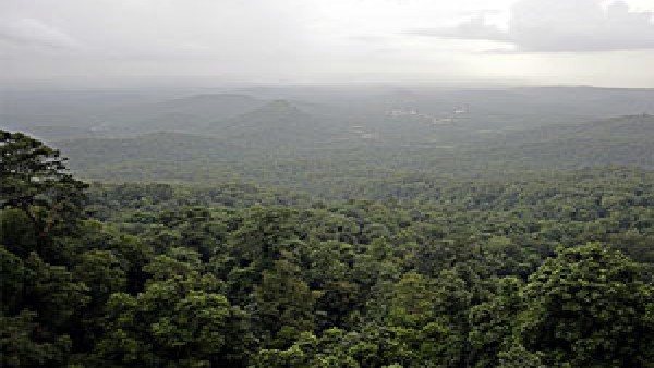 MLAs oppose to Central govts draft notification of ESA MLAs oppose to Central govts draft notification of ESA