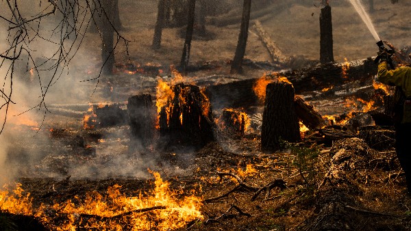  ಬೆಂಕಿ ನಂದಿಸಲು ಅಗ್ನಿಶಾಮಕ ಸಿಬ್ಬಂದಿ ಹರಸಾಹಸ