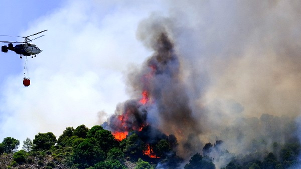  ಫ್ರಾನ್ಸ್‌ನಲ್ಲಿ 10,000 ಹೆಕ್ಟೇರ್ ಅರಣ್ಯ ನಾಶ