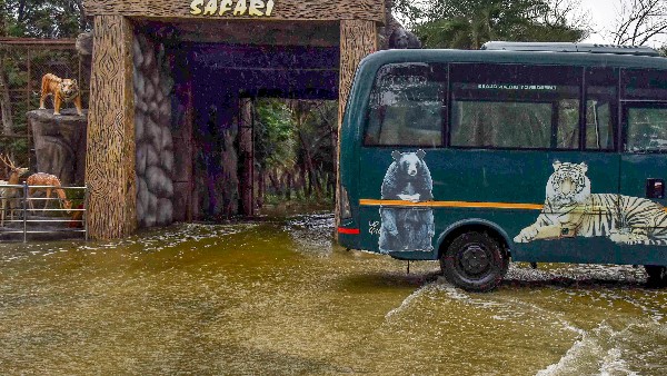  ಹೊಗೇನಕಲ್‌ನಲ್ಲಿ ಪ್ರವಾಹದ ಎಚ್ಚರಿಕೆ 