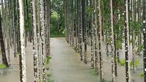 ಸುಮಾರು 400 ಎಕರೆ ಜಲಾವೃತ 