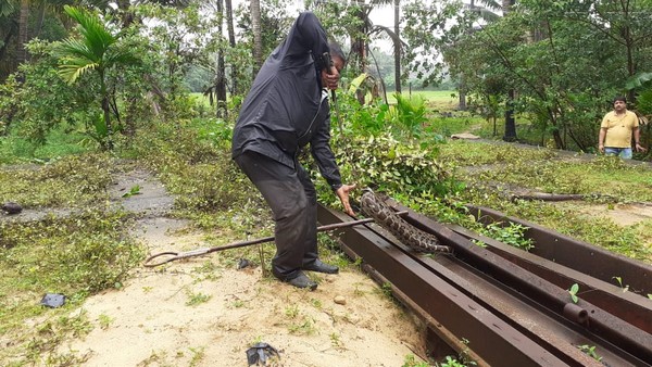  ಆಸ್ಪತ್ರೆ ಸೇರಿದ 5 ಮಂದಿ 