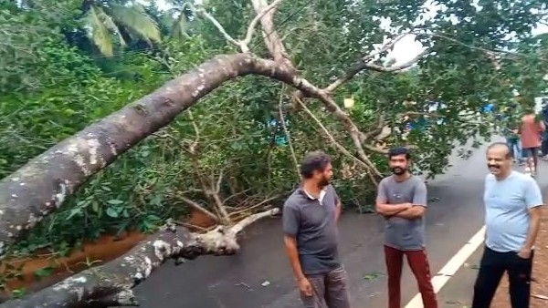 ಮನೆ, ವಿದ್ಯುತ್‌ ಕಂಬಗಳಿಗೆ ಹಾನಿ 