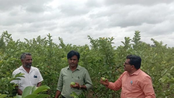 ರೈತರು ಯೋಜನೆಗಳ ಉಪಯೋಗ ಪಡೆಯಿರಿ ರೈತರು ಯೋಜನೆಗಳ ಉಪಯೋಗ ಪಡೆಯಿರಿ